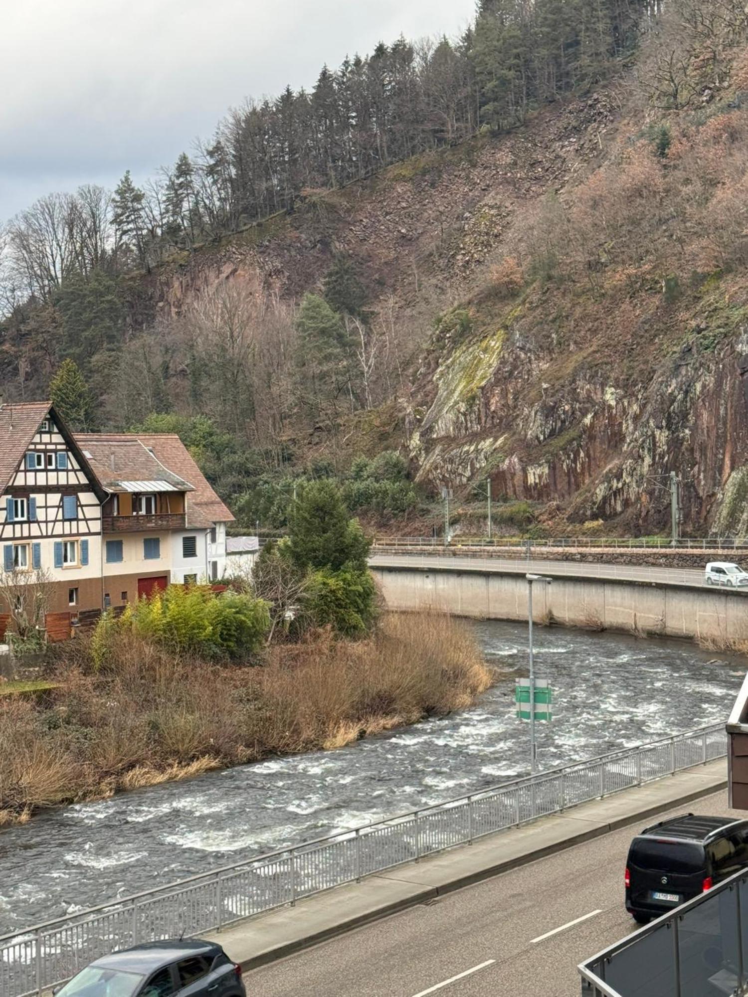Hotel Grüner Baum - Melissone Italian Restaurant Weisenbach Esterno foto